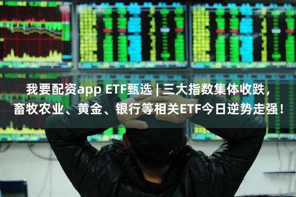 我要配资app ETF甄选 | 三大指数集体收跌，畜牧农业、黄金、银行等相关ETF今日逆势走强！