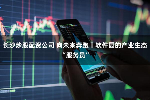 长沙炒股配资公司 向未来奔跑丨软件园的产业生态“服务员”