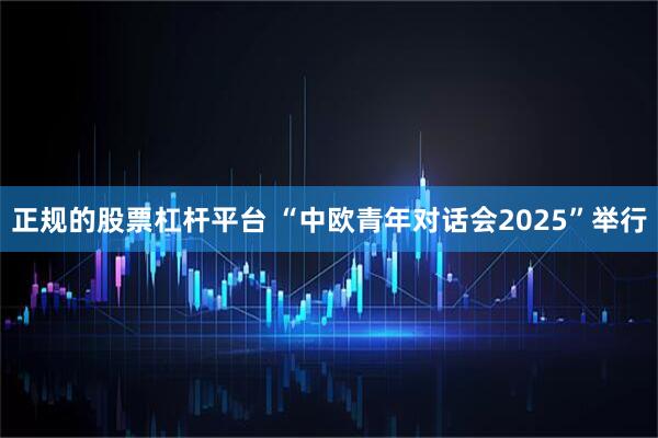 正规的股票杠杆平台 “中欧青年对话会2025”举行